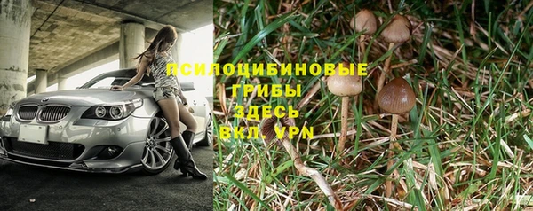 ешки Алексеевка