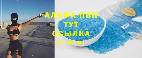 хмурый Алексин