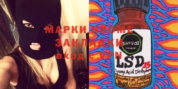 хмурый Алексин