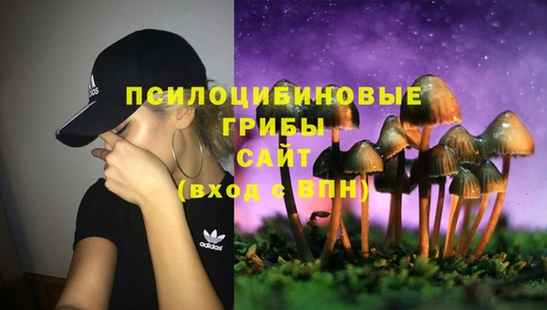 скорость Алзамай