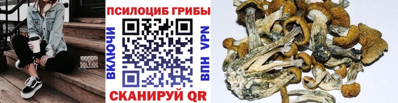 мега онион  Темрюк  Псилоцибиновые грибы Psilocybine cubensis 