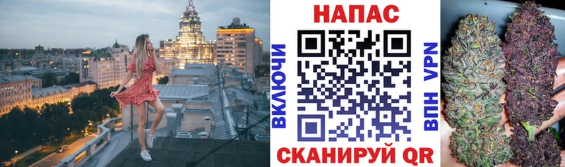 нарко площадка наркотические препараты  где продают наркотики  Темрюк  Бошки Шишки сатива 